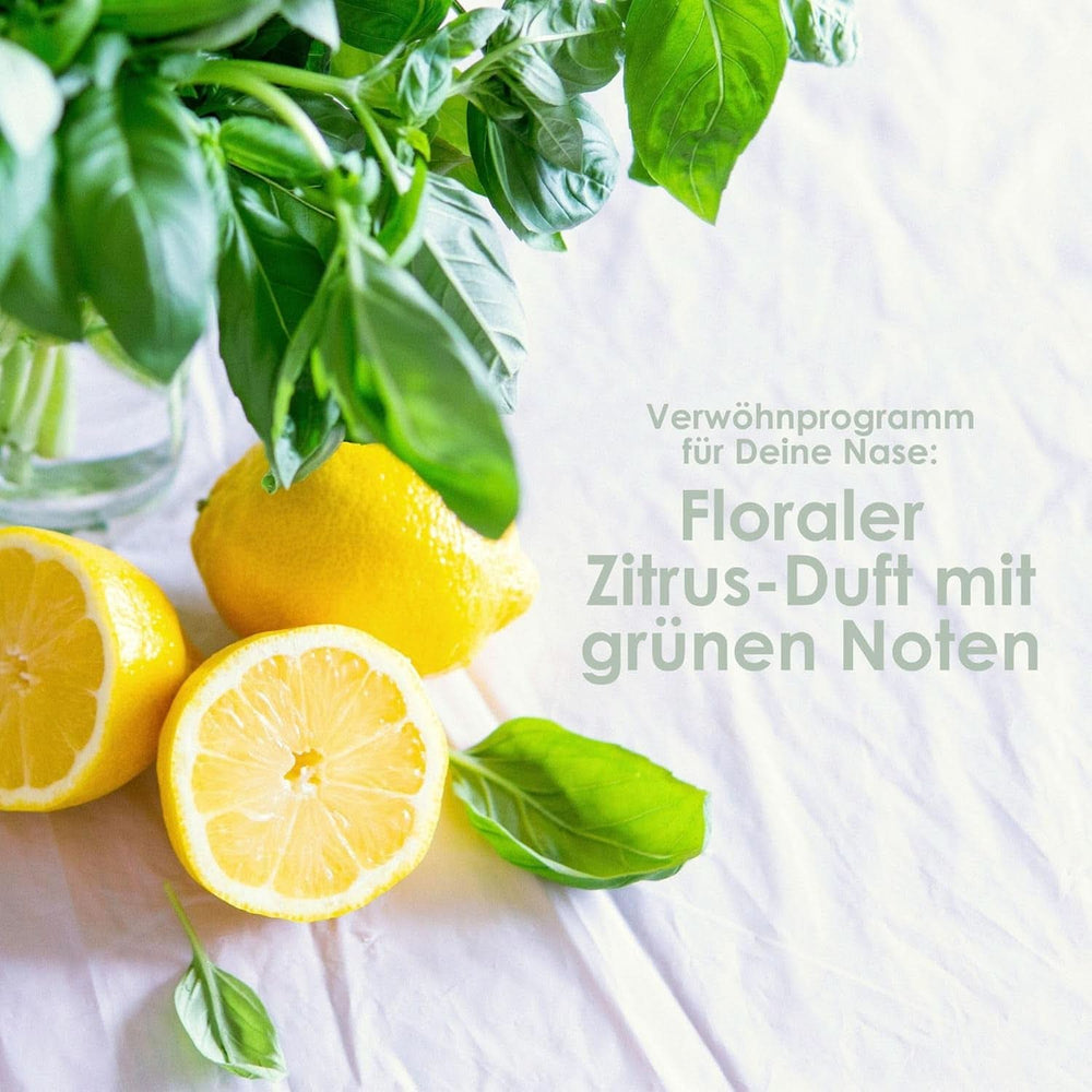 Jean & Len Aloe Vera & Basil moisturizing shampoo, for very dry hair, 300 ml Shower and bath Naty Shop