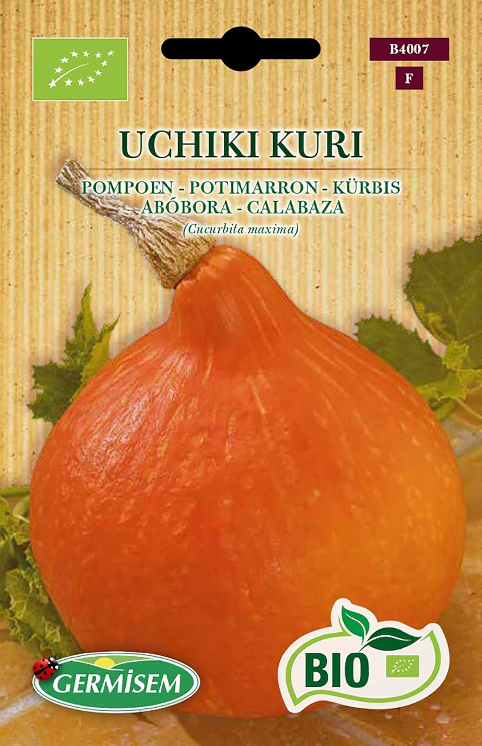Kürbis BUTTERNUT, ECBIO4002 & Kürbis UCHIKI KURI, ECBIO4007