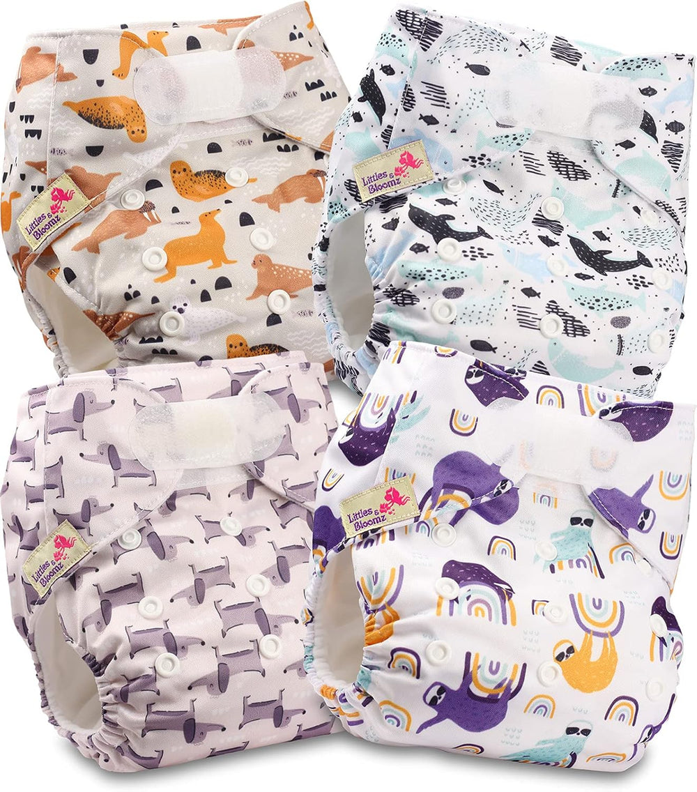 Littles and Bloomz Reusable Diaper FLV2-0602, Standard Hook and Loop Closure, 6 Diapers