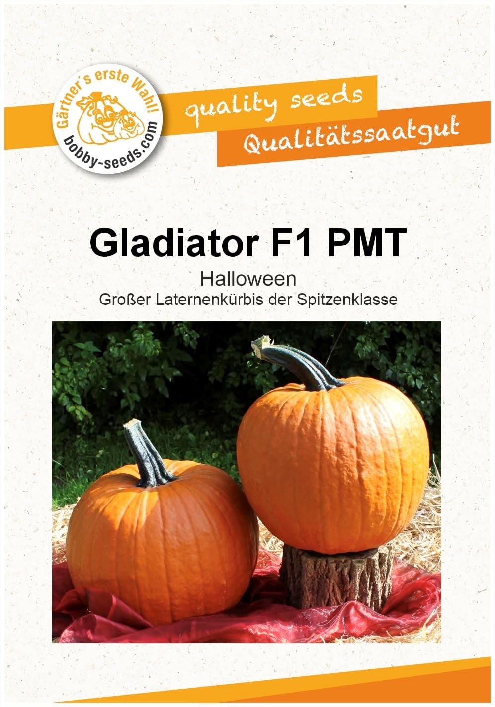 Bobby-Seeds Kürbissamen Gladiator PMT F1 Portion