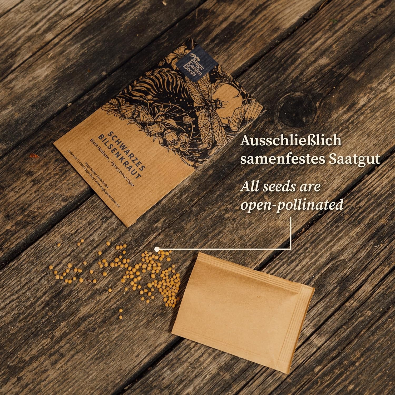 Dye's Chamomile (Anthemis tinctoria) - about 800 seeds of the traditional dye plant and perennial wildflower