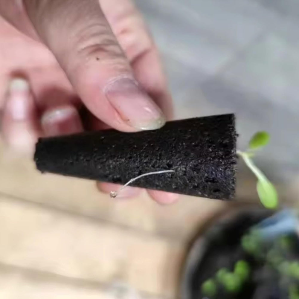 50 Replacement Growing Sponges, Seed Establishment Tubes, Root Growing Sponge Plugs, Hydroponic Grow Kits for Hydroponic Grow Systems, Indoor Hydroponics, Garden