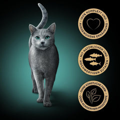 Sheba CATCARE Pungă Wet Fresh & FINE (Pește) Bucăți în sos Adult 50g Pachet multiplu Standard