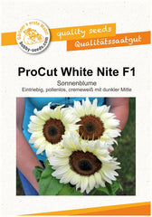 Procut White Night F1 Sonnenblumensamen Von Bobby-Seeds Portion