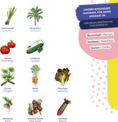 Hochbeet-Gemüse - 10 Samenfeste Gemüsesorten - Einfach & Ertragreich - Einsteiger-Saatgutset Als Kleines Geschenk Oder Für Den Eigenbedarf