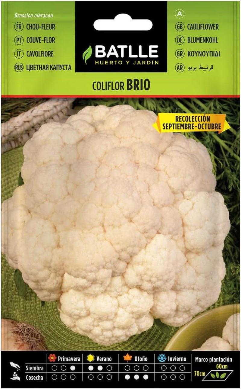 Batlle Gemüsesamen - Blumenkohl Dominant Weiss (1050 Samen)