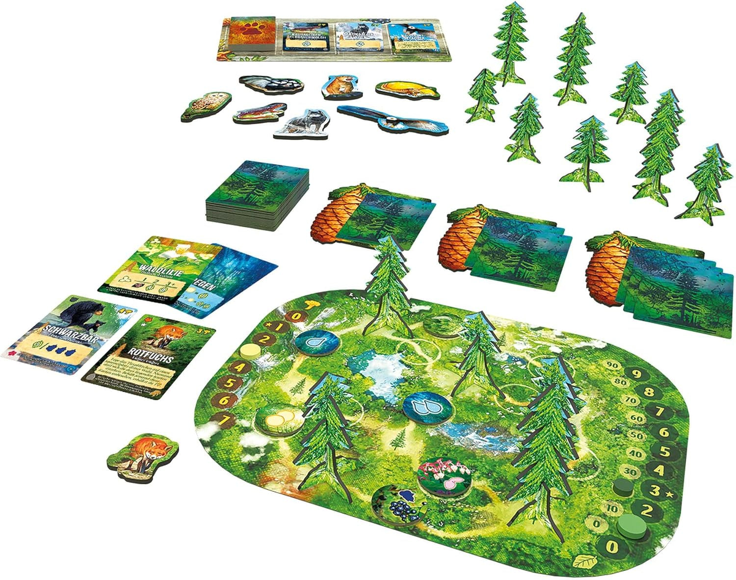 Piatnik 728099 Forest - Evergreen and rich in species!