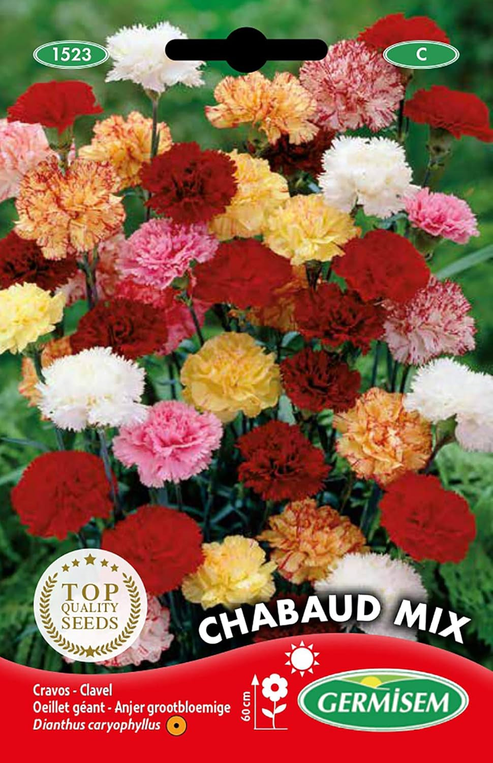 Gartennelken EC1523 multicolored