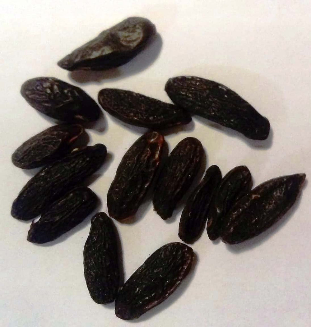 Boabe de Tonka Întregi 100g - Boabe de Tonka de Calitate Premium din Brazilia, Boabe de Tonka pentru Răzuit, Condimente din Pădurea Tropicală, Aromă: Vanilie și Migdale