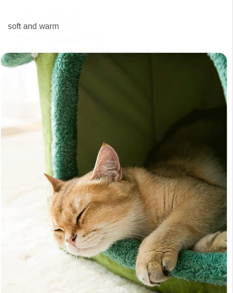 Pături & Mobilier, Animale de companie, Peșteri & Case, Pisici, Paturi pentru pisici, Pisici - culcusuri, saltele