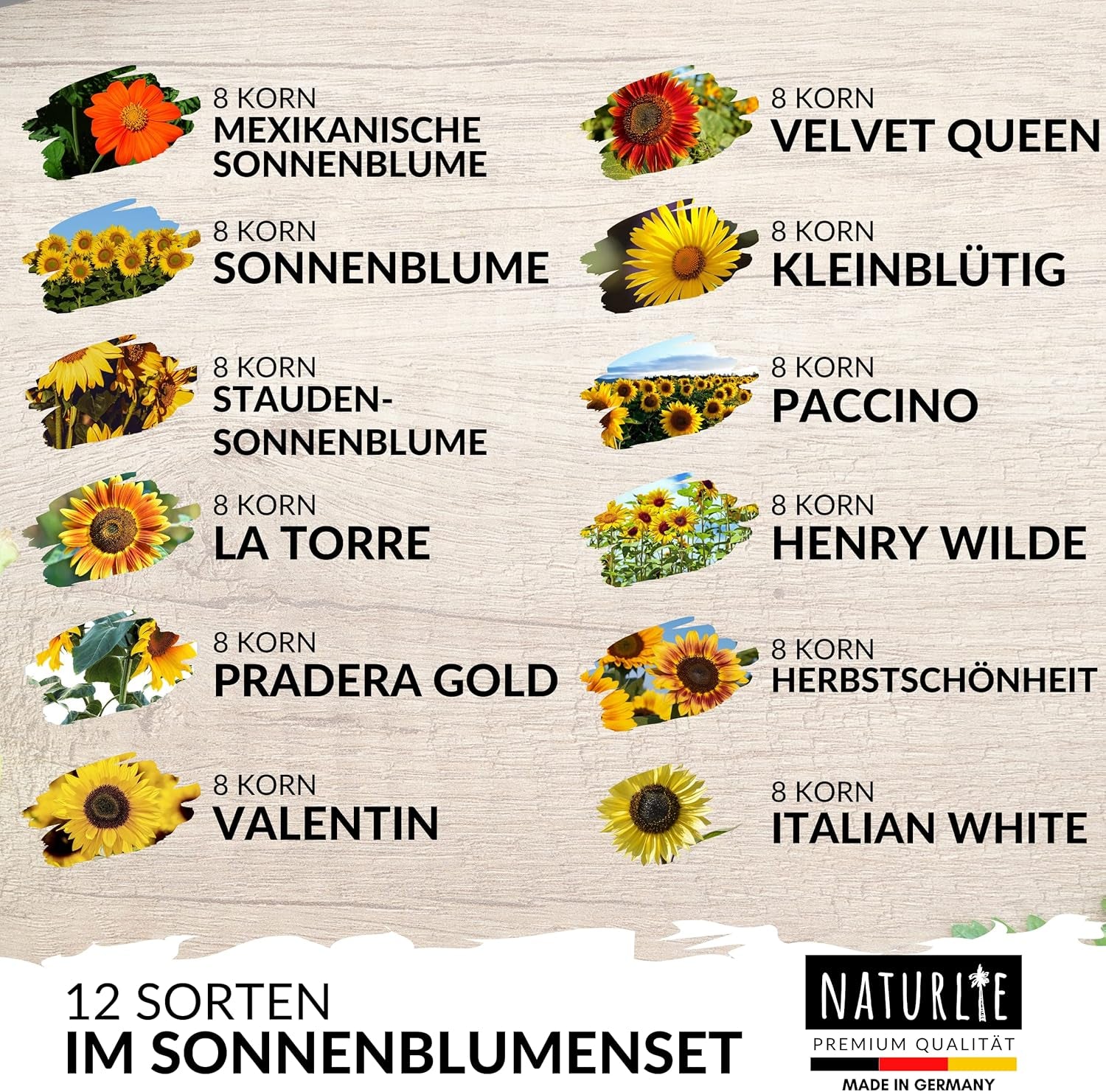 12Er Sonnenblumen Samen Set - 12 Schöne Sorten Premium Sonnenblumensamen - Blumen Saatgut Für Bienen - Super Garten Geschenk - Blumensamen Sommerblumen Anzuchtset Von