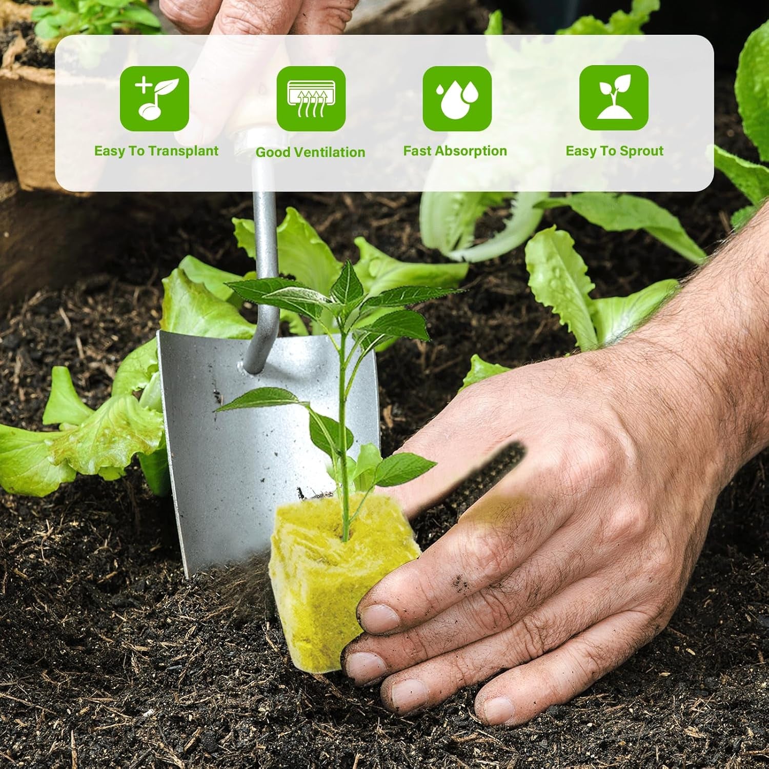 100 Stück Steinwolle Anzucht Würfel 2.5x2.5x2.5CM Rockwool Cube Anzuchtmatte Steinwolle Anbau Hydrokultur Umpflanzen für Bodenlose Anzucht Setzlinge Stecklinge Klonpflanzen