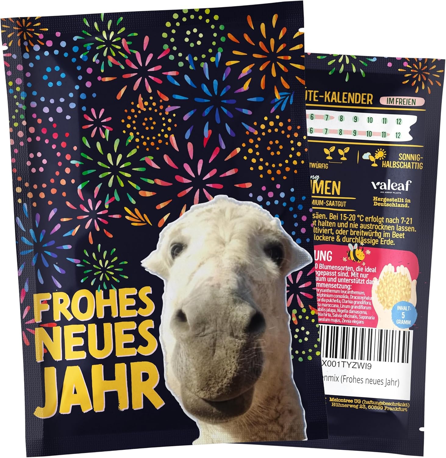 Christmas Tree 2030 - Nordmann Christmas tree seeds for planting a Christmas tree, ideal as a Secret Santa Christmas gift