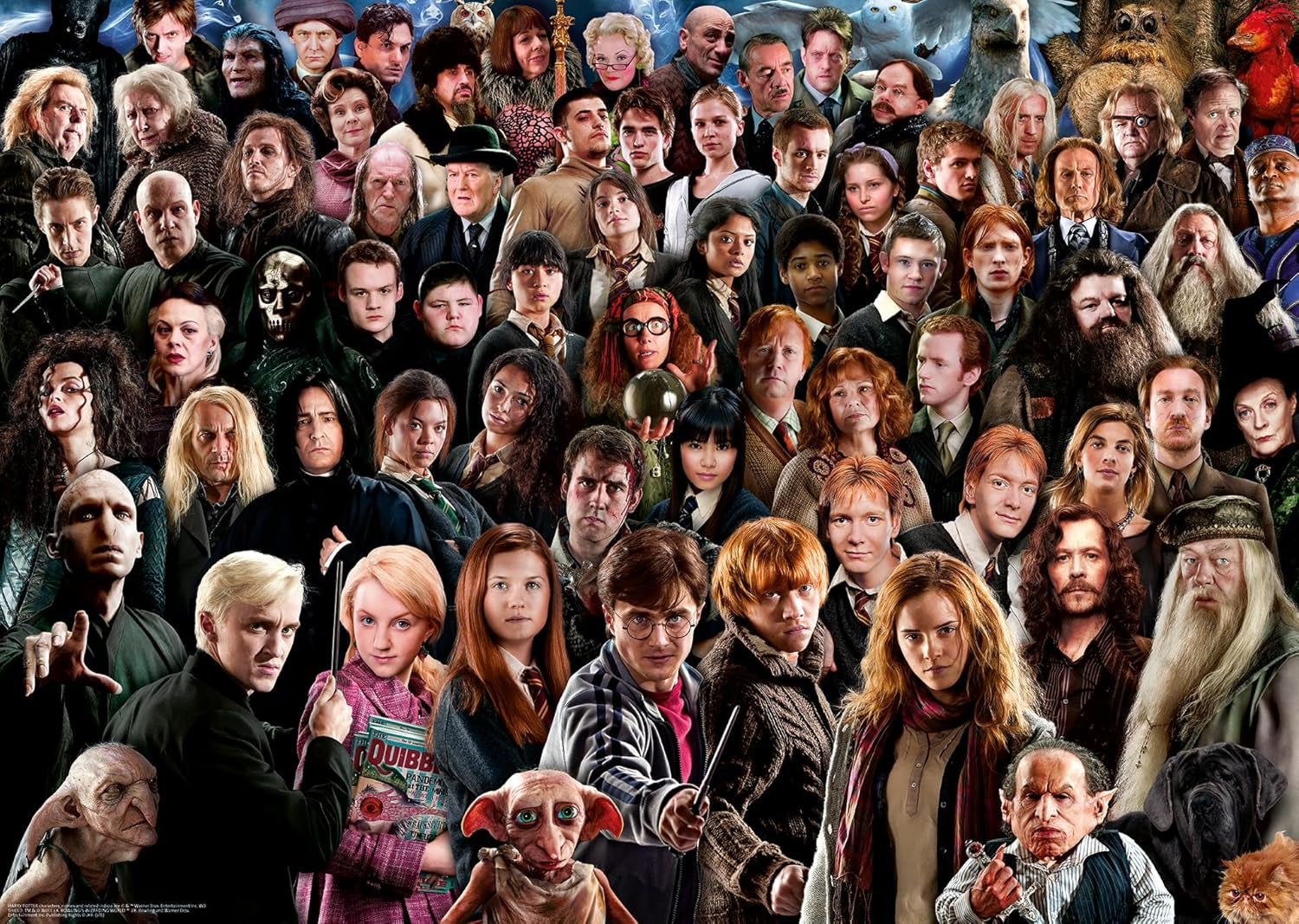 Ravensburger Puzzle 1000 piese Harry Potter 12000457 - Peste 70 de personaje din lumea vrăjitoare de la Hogwarts într-un singur puzzle pentru adulți și copii de la 14 ani încoace Puzzle Naty Shop Tema Harry Potter