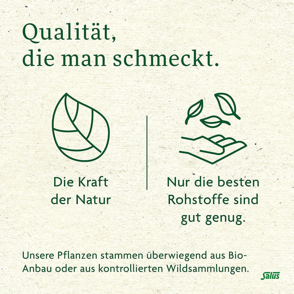 Salus - Ceai de măceșe și malva - 1X 15 pliculețe filtru (45 g) - Ceai de fructe - Compoziție din măceșe și flori de hibiscus african - Răcoritor - Bio