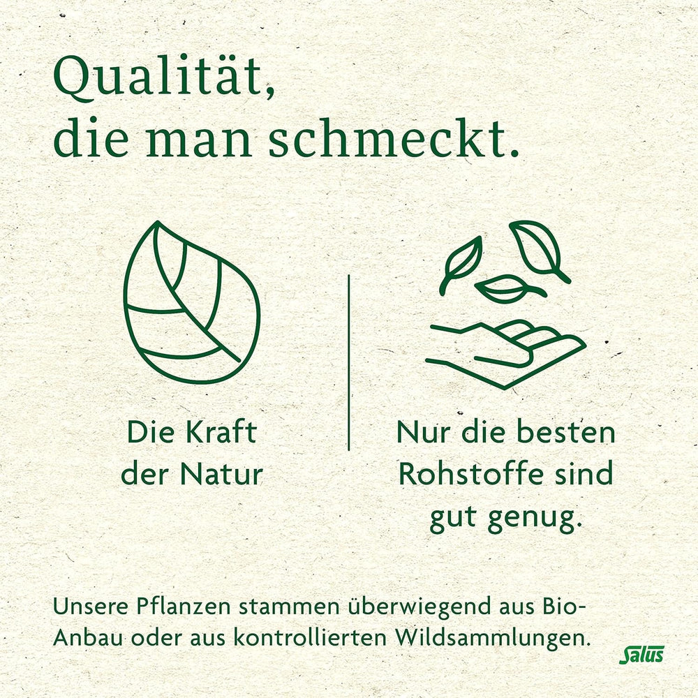 Salus - Ceai de măceșe și malva - 1X 15 pliculețe filtru (45 g) - Ceai de fructe - Compoziție din măceșe și flori de hibiscus african - Răcoritor - Bio