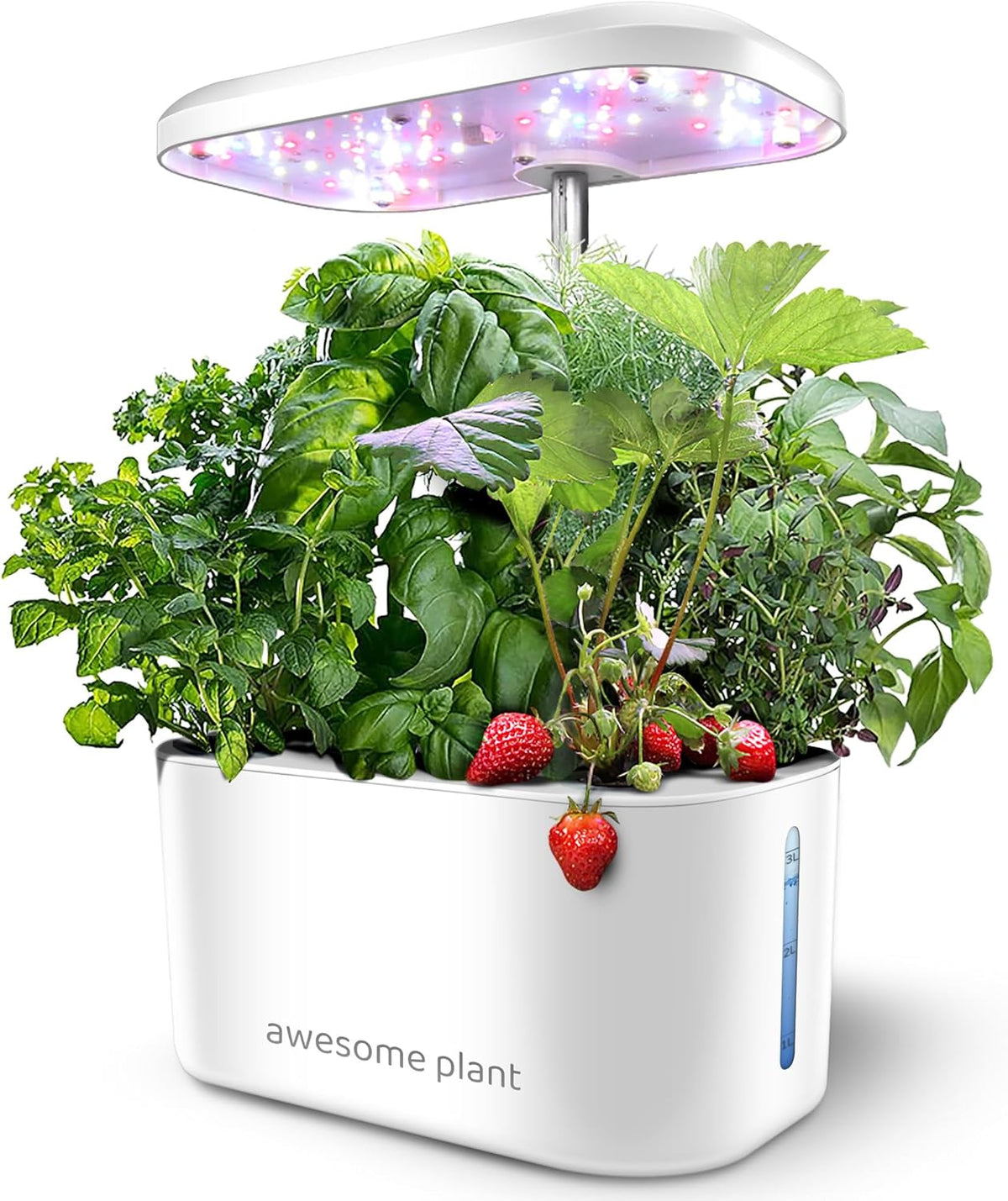 6Pro Hydroponic Grow System Kit (6 Capsules), Indoor Gardening Kit with 3L Water Tank, 3 Growing Modes and Silent Pump, Home Herb and Salad Growing Kit, Adjustable Height Up to 33.0cm, White