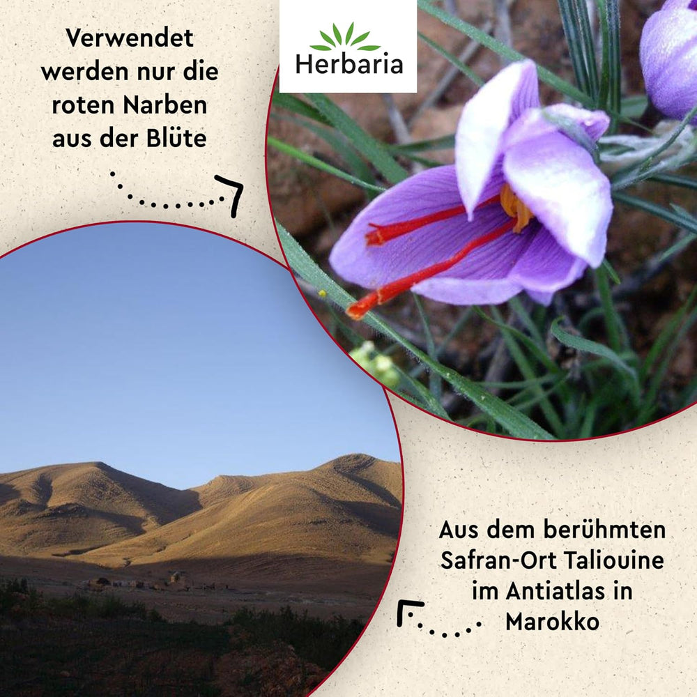 Herbaria Safran-Fäden bio 0,5g im Glas – Bio Saffron-Fäden aus dem bereicht Safran-Ort Taliouine in Marokko – Safranfäden in Premium Bio-Qualität – Saffron Premium - Safran première catégorie