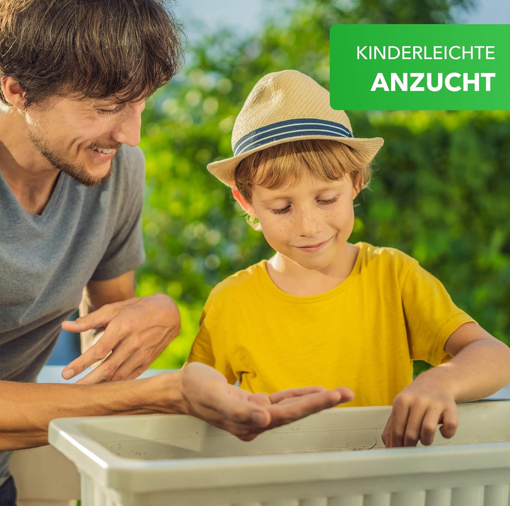 Magic of Nature Balcony Box Mix - 10g Seeds - Bee Friendly Plants - Easy to Use - Bee Paradise - 5 Native Cultivated Species - Suitable for Flower Boxes and Planters