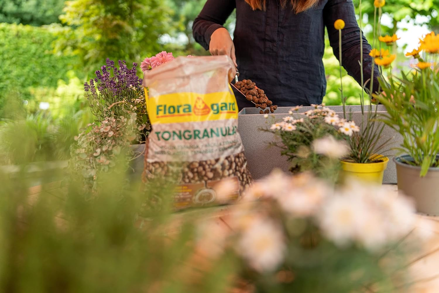 Floragard expanded clay granules 50 L - natural drainage material and hydroponic substrate for pots, tubs, houseplants and planters - prevents water accumulation, ensures good aeration