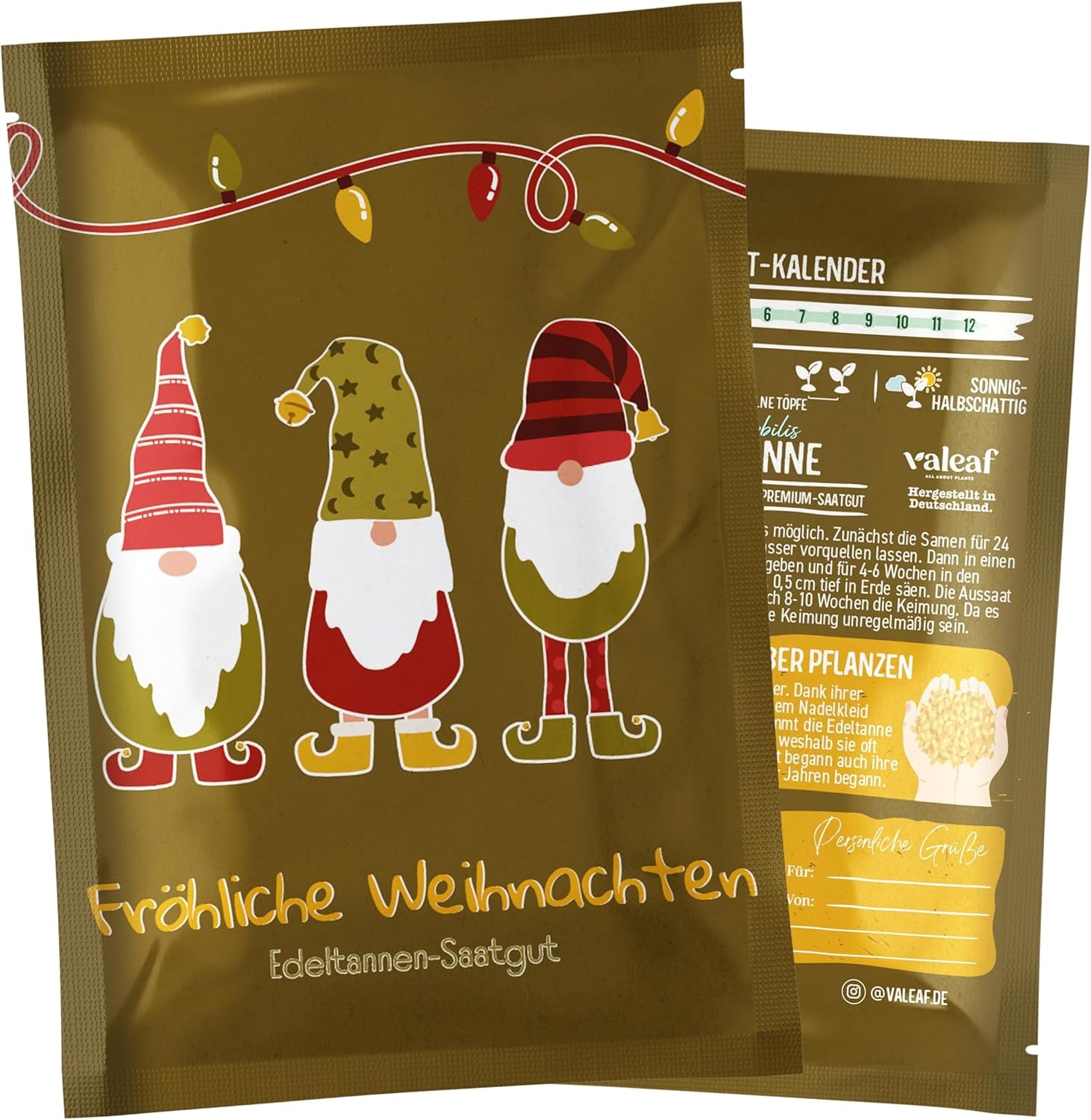 Christmas Tree 2030 - Nordmann Christmas tree seeds for planting a Christmas tree, ideal as a Secret Santa Christmas gift