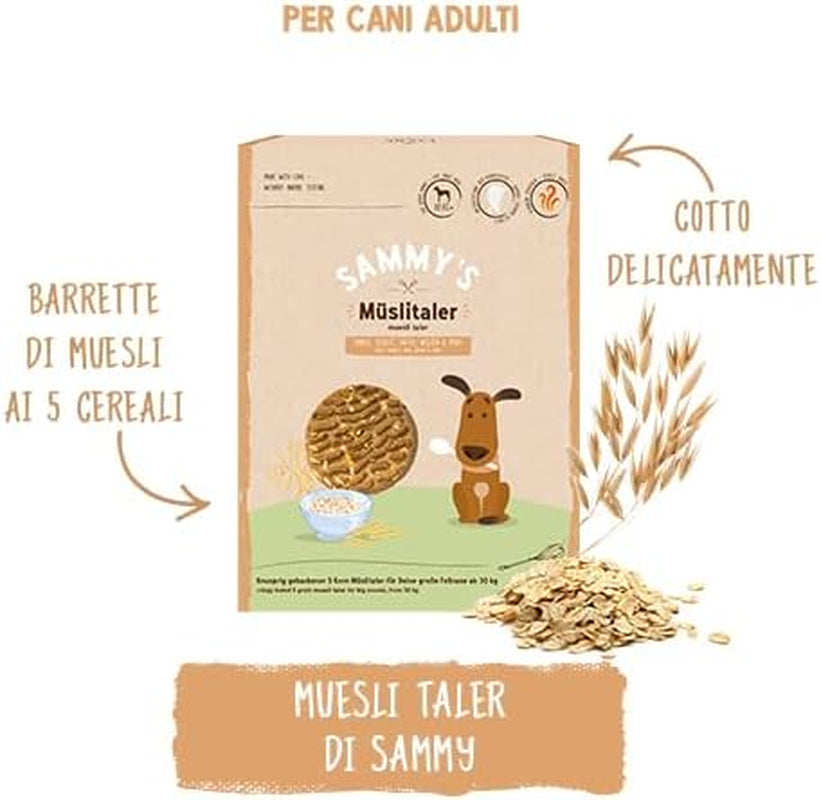 Sammy's Muesli Coins | Crunchy Baked Snacks for Dogs | 5 Grain Muesli Coins for Your Large Furry Friend (30kg+) | 1 kg