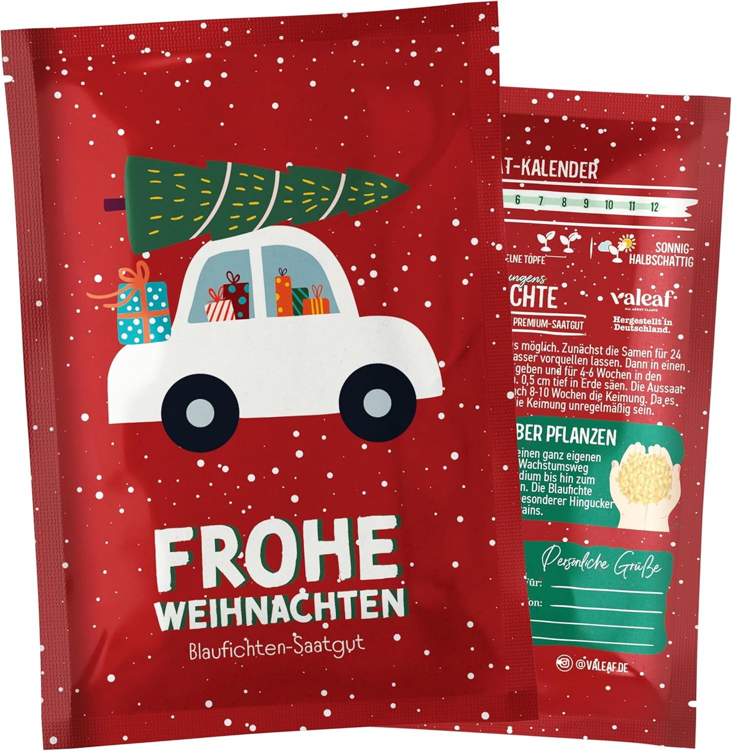 Christmas Tree 2030 - Nordmann Christmas tree seeds for planting a Christmas tree, ideal as a Secret Santa Christmas gift