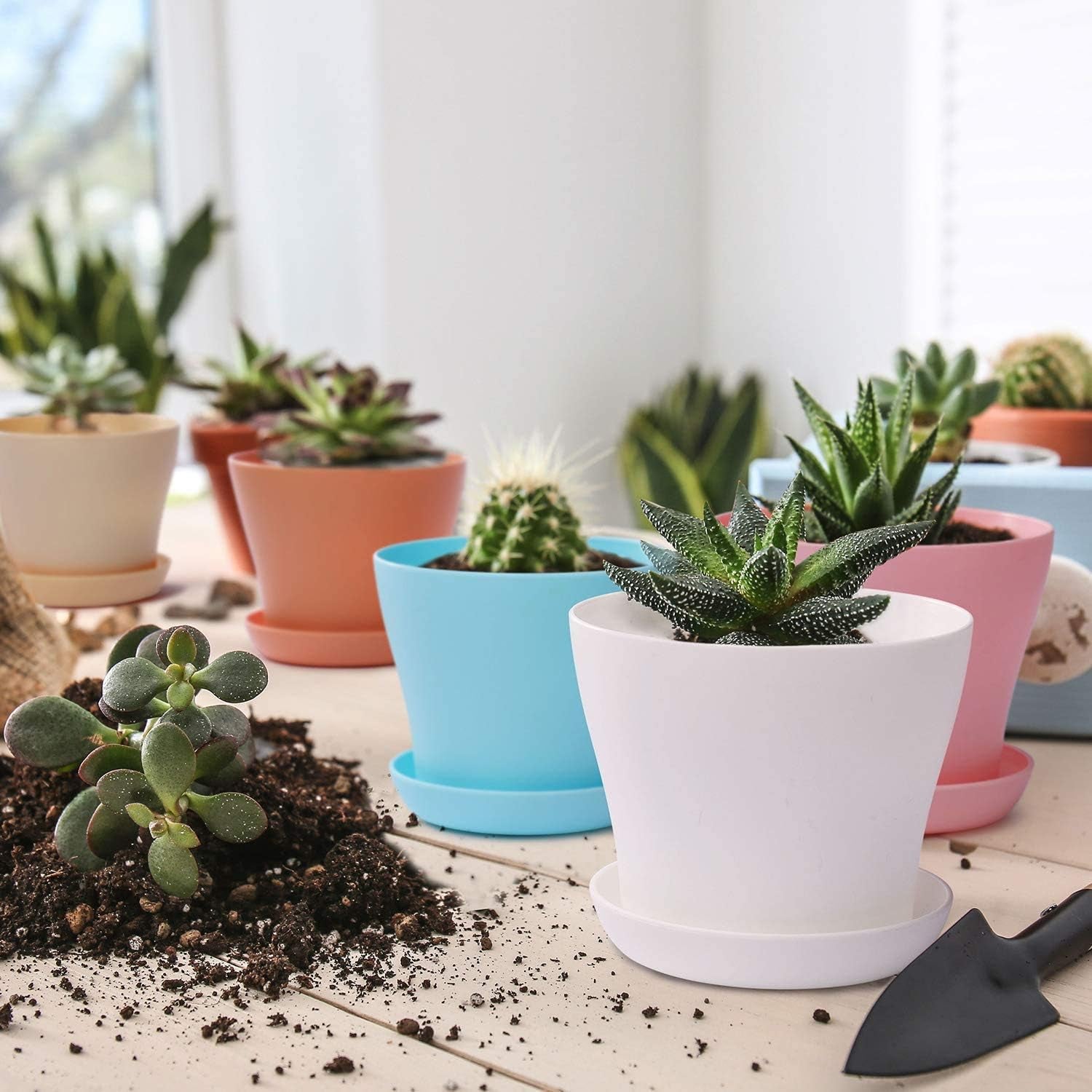 Ghivece mari din plastic de 20 cm cu farfurioare, ghivece cu auto-udare, albe cu farfurioare, ghivece din plastic pentru răsaduri, ghivece îngroșate pentru plantare în interior și în exterior (6 bucăți)