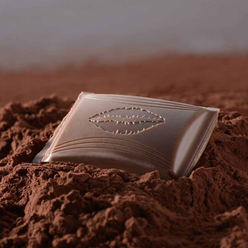 HELLO Salted Caramel Chocolate | Bar 100g | Milk chocolate with salted caramel filling | Chocolate bar | Chocolate Gift (Pack of 5)