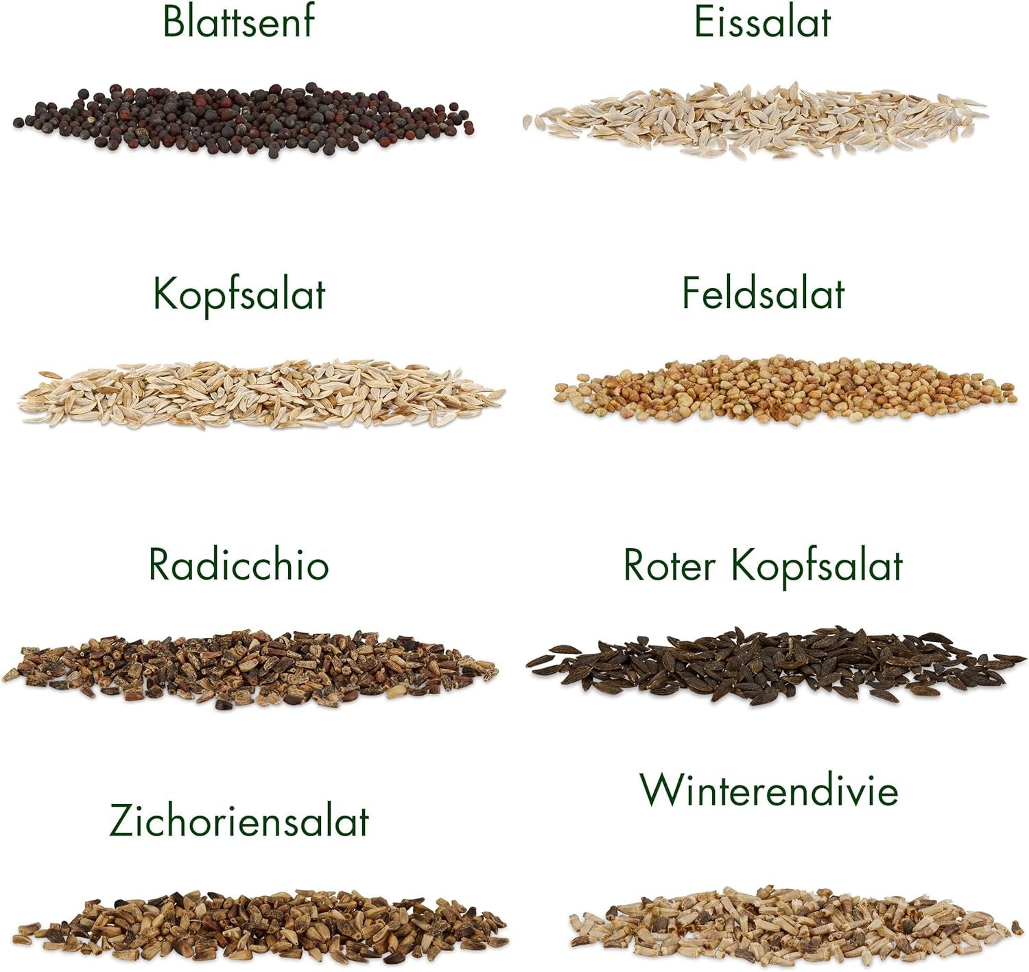 Lettuce Seeds: Set of 8 Varieties of Salad Seeds for the Garden and Balcony - Lettuce Seeds, Mustard Leaf, Lamb's Lettuce (Hardy), Radicchio, Endive Seeds, Chicory - Salad Vegetable Seeds from OwnGrown