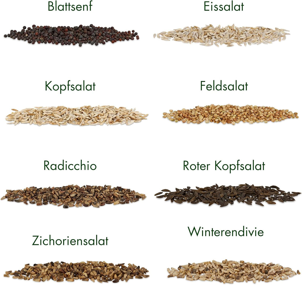 Lettuce Seeds: Set of 8 Varieties of Salad Seeds for the Garden and Balcony - Lettuce Seeds, Mustard Leaf, Lamb's Lettuce (Hardy), Radicchio, Endive Seeds, Chicory - Salad Vegetable Seeds from OwnGrown