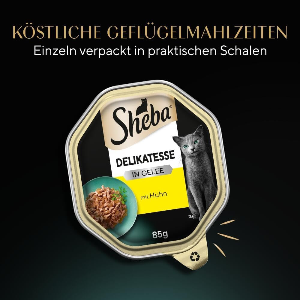 Sheba Bowl Hrană umedă pentru pisici Delicacy în jeleu cu pui 2 X 11 X 85G