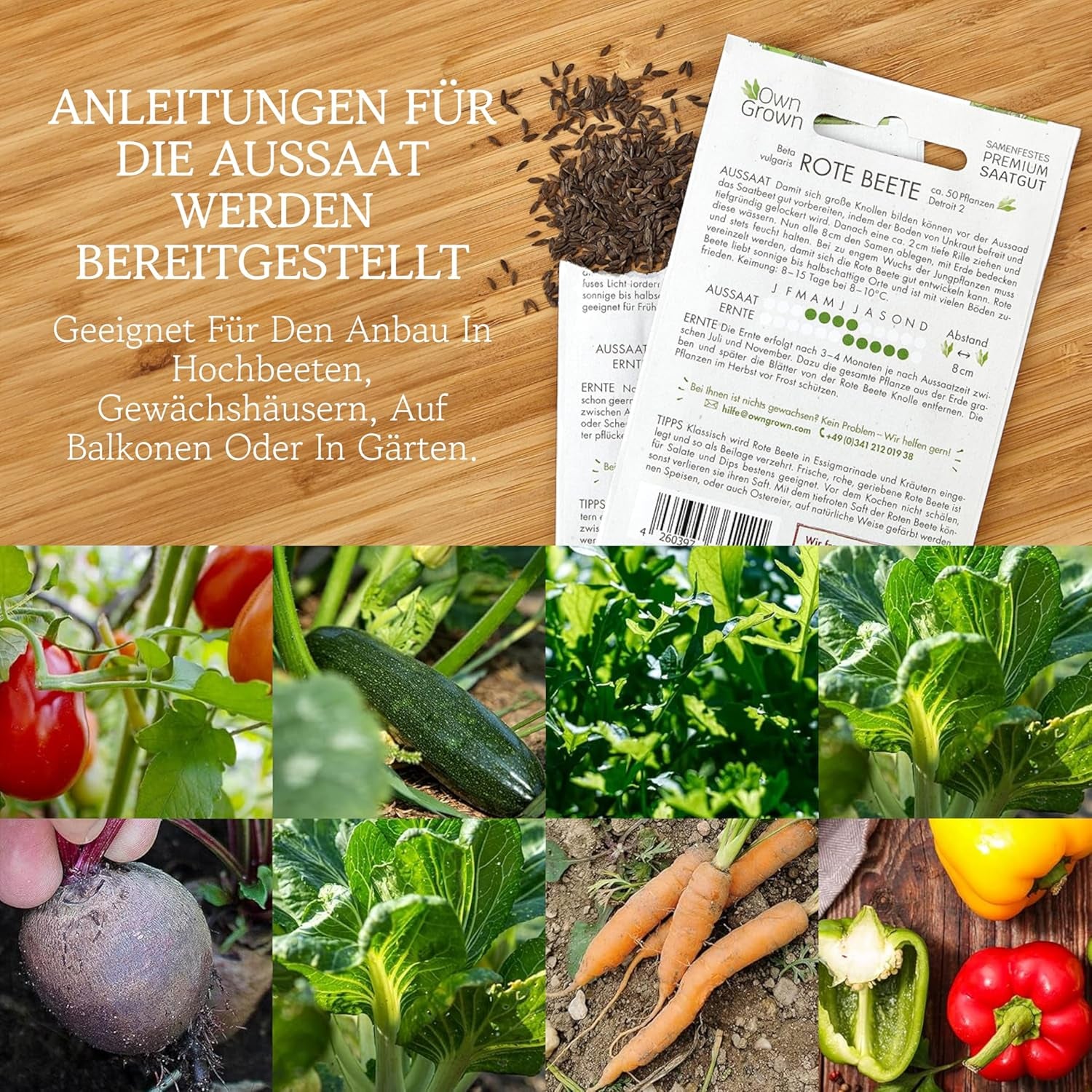 OwnGrown Vegetable Seed Set - 12 Pflanzensemen Sorten für Hochbeet und Garten - Praktische Box mit Gemüsesamen für den Anbau Frischer Ernte zu Hause - Ideal für Gartenliebhaber