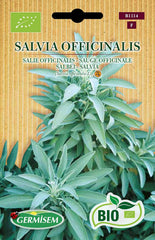Salbei SALVIA OFFICINALIS, ECBIO1114