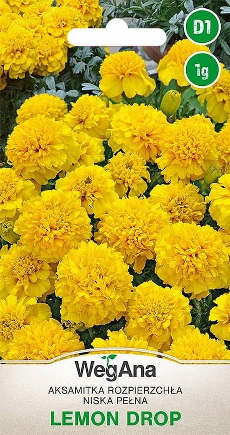 Cosmos Sensation Mix 1g seeds, Cosmos Mix Summer flowers, Garden plants Balcony plants, Flower seeds