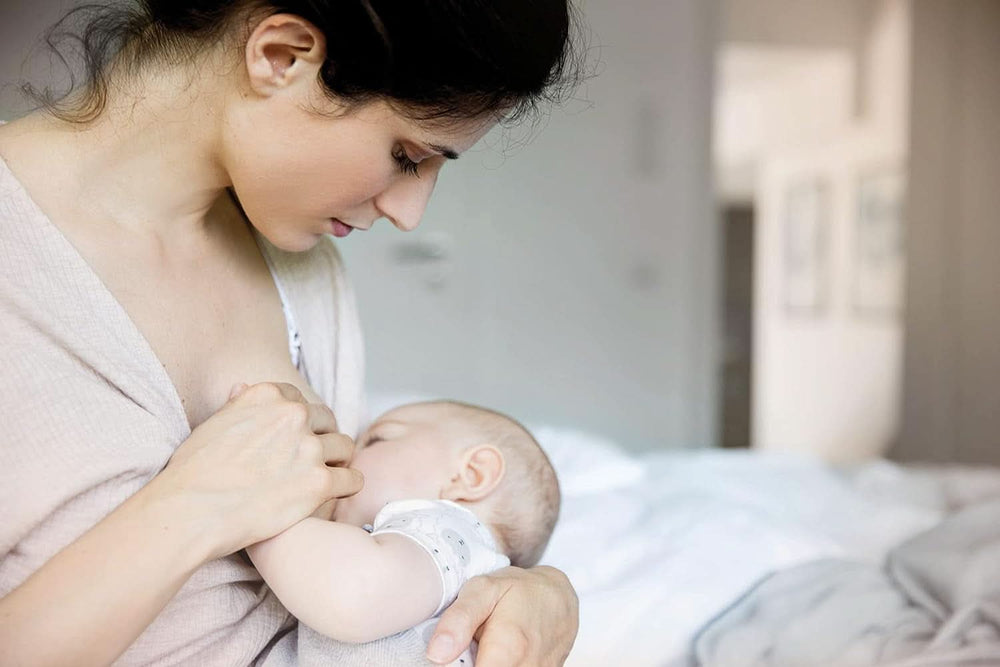 Nip® First Moments scuturi pentru mameloane, 2 bucăți Accesorii Hrana si Alaptare Bebe Naty Shop