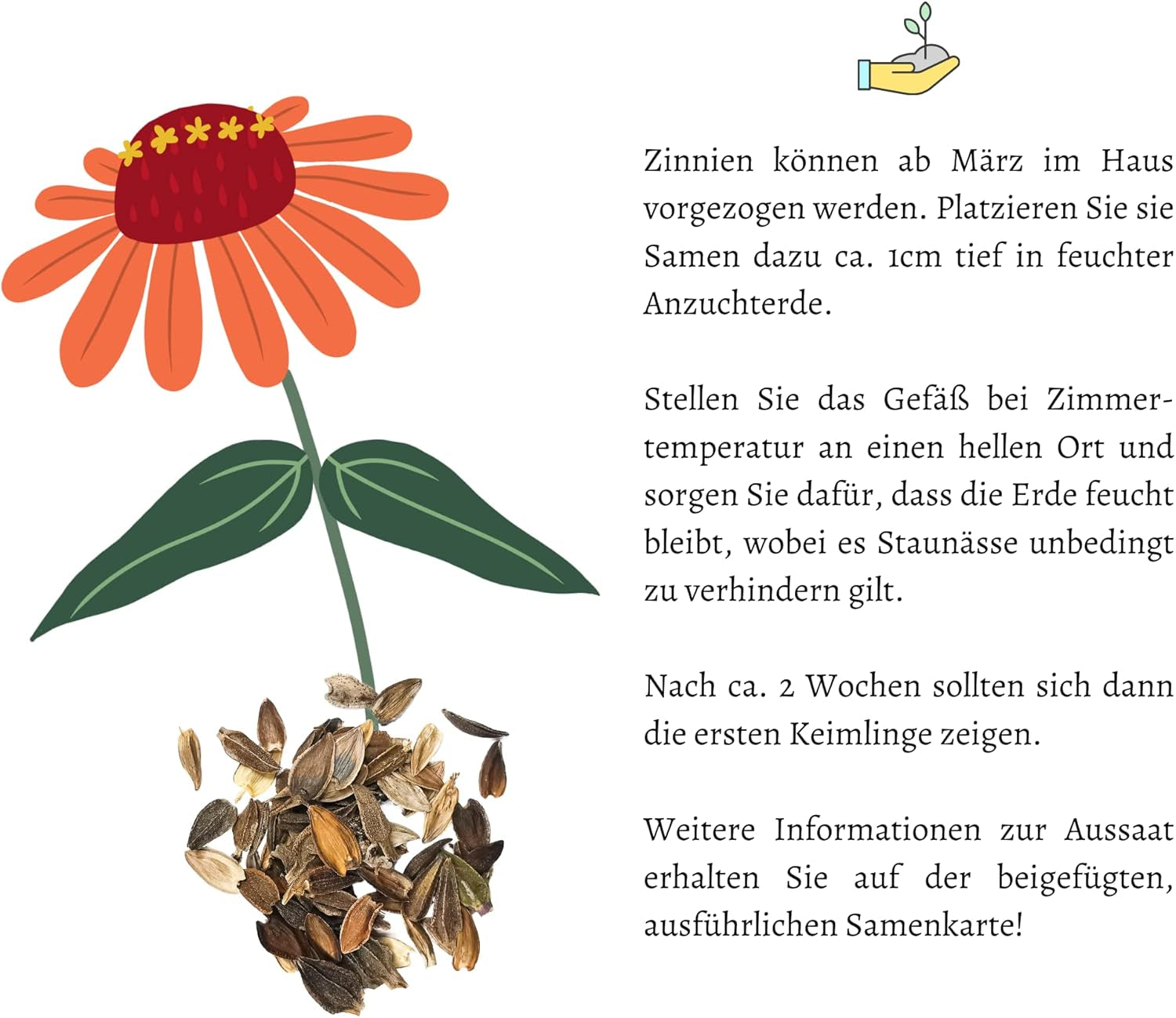 Zinnia seed mix (Zinnia) - Colorful summer flowers for the garden bed, balcony, terrace and as cut flowers in vases