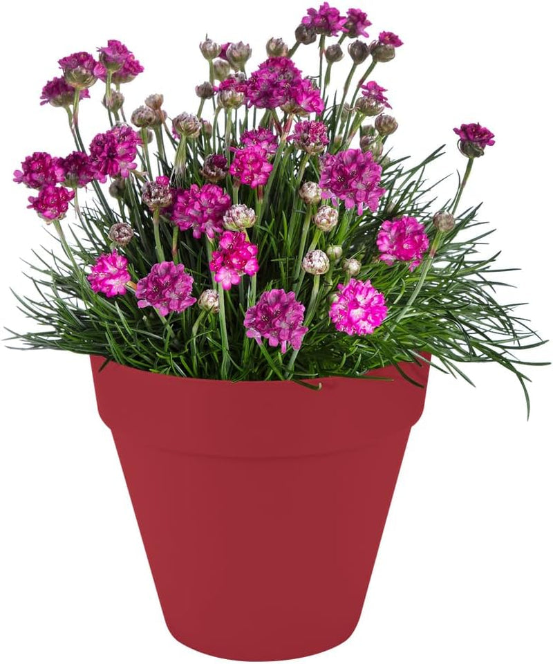 elho Loft Urban Round 30 - Ghiveci de flori pentru exterior - Plastic 100% reciclat - Ø 28,5 x H 26,0 cm - Roșu/Roșu teatru