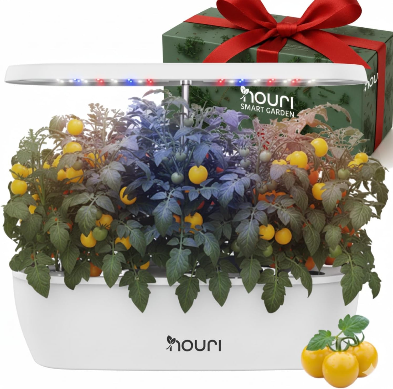 New 7 Bridge + Heirloom Basil | Smart Garden for Home Cooks | Hydroponic growing system | LED Grow Lights | Indoor Herb Gardening Kit for Plant Lovers and Gardeners, White