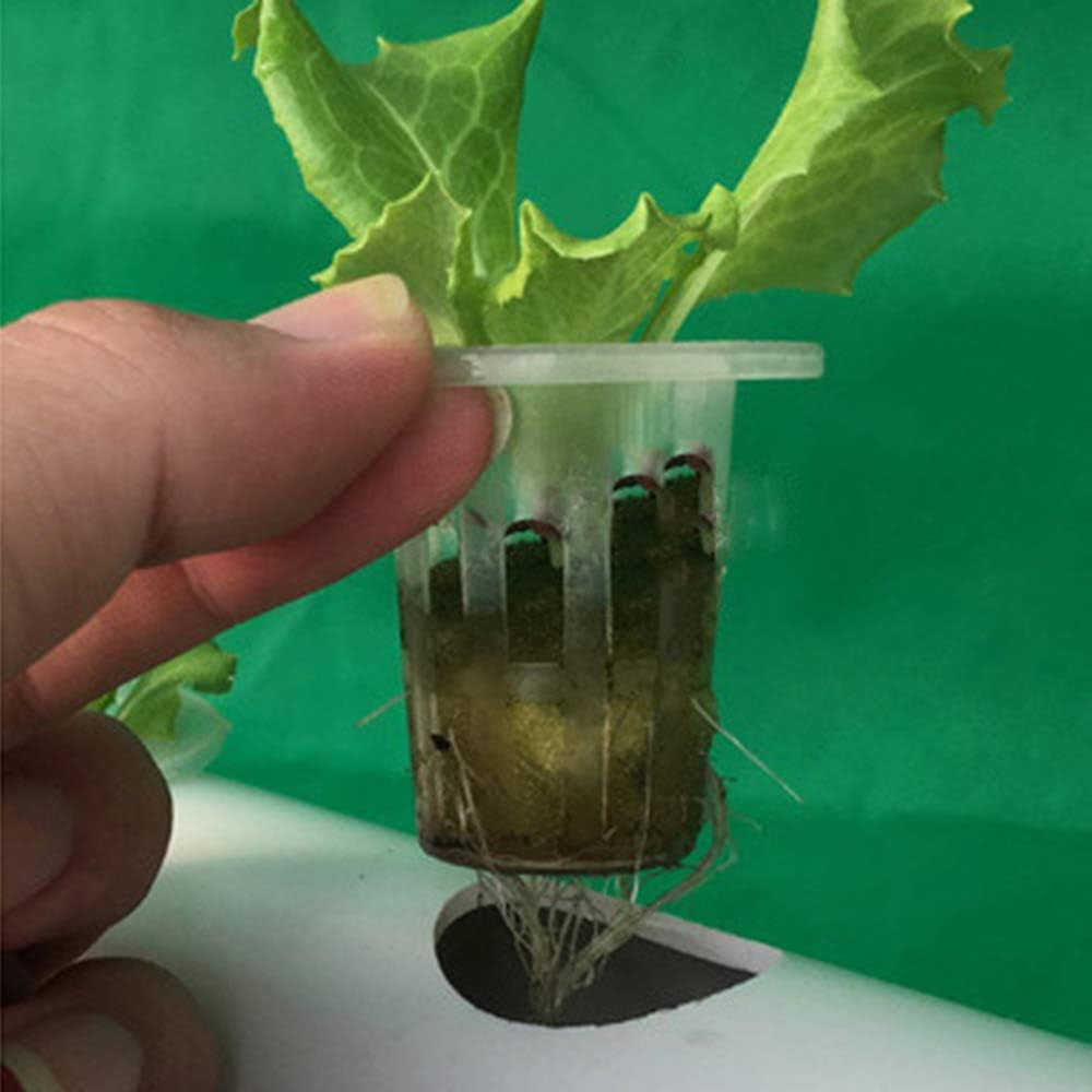 1 Layer Hydroponic Grow Kit with 54 Planters, PVC Soilless Plant Grow Systems with Water Pump, Hydroponic Grow Kits for Growing Vegetables and Fruits on Balconies, Gardens, Patios and Backyards