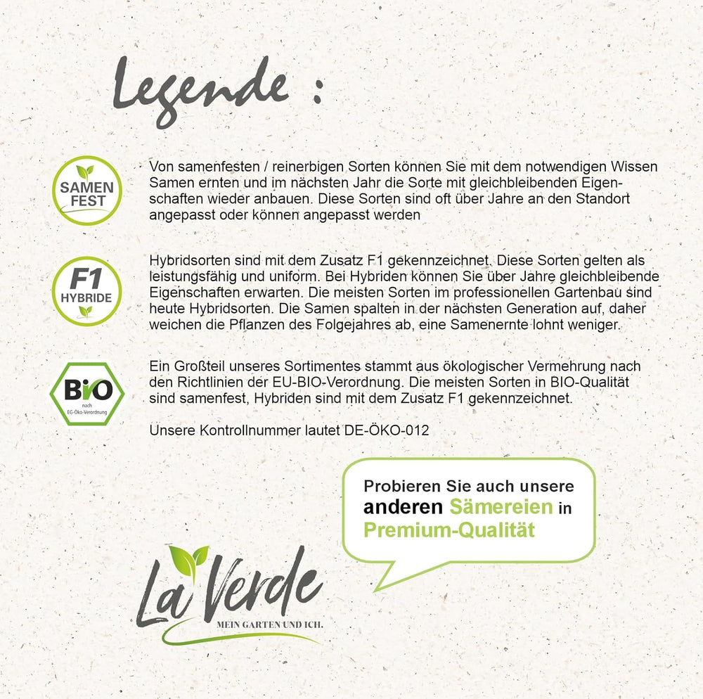 Evening primrose seeds