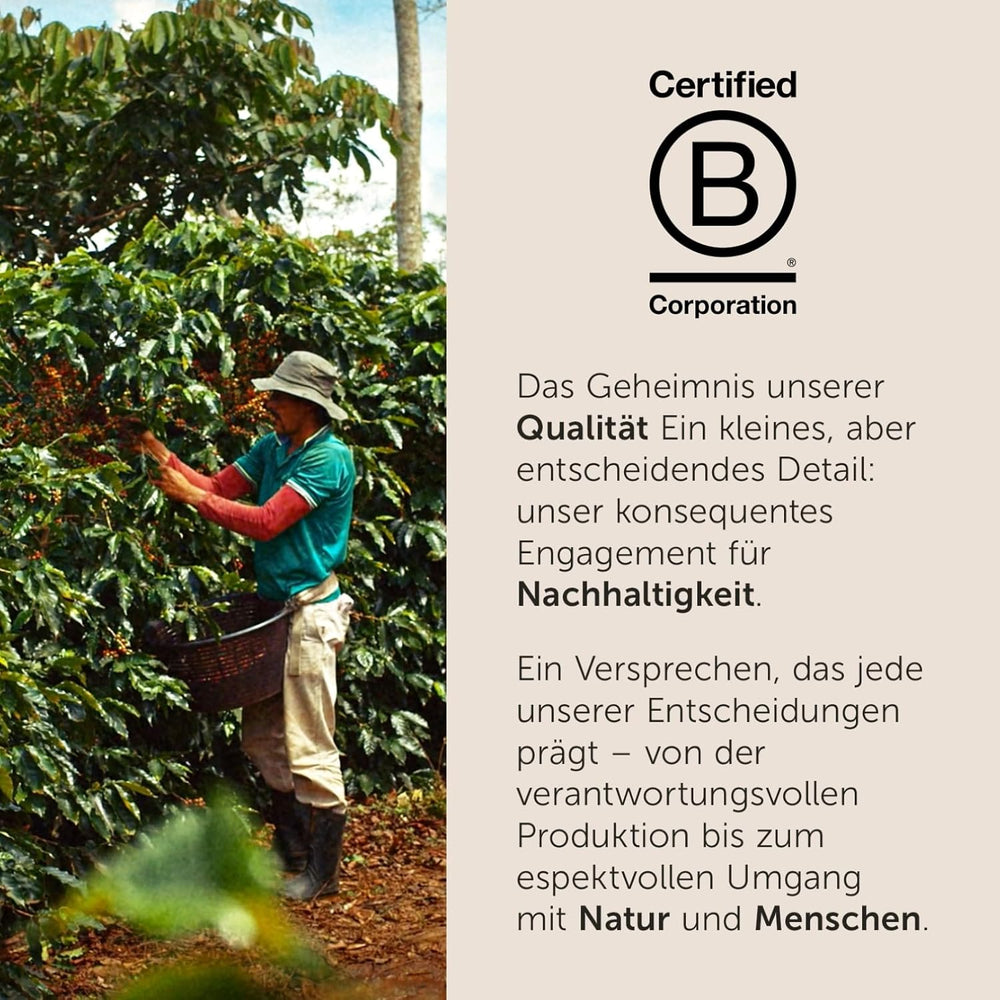 illy, Kaffeebohnen Arabica Selection Costa Rica, 100% Arabica mit Karamell-, Schokoladen- und Vanillenoten, süßer Geschmack, 1 Dose mit 250g