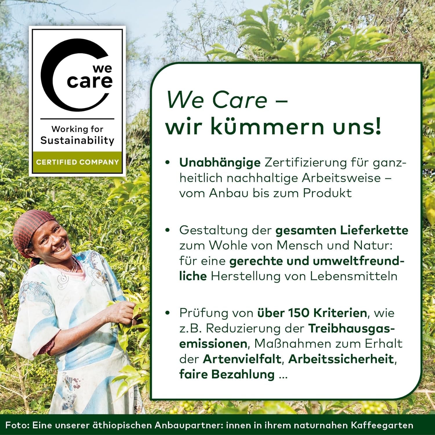 LEBENSBAUM 2x Kaffee Gourmet Klassisch, ganze Bohne, Bio Kaffee aus Arabica-Bohnen, Intensität 3/5, ausgewogener, aromatischer Genuss, 2 x 1 kg…