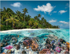 Ravensburger Puzzle 17441 A Dive in the Maldives - 2000 Piece Puzzle for Adults and Children 14+ Puzzle Naty Shop