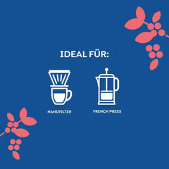 Melitta Manufaktur-Kaffee Guatemala Honey, Spezialitäten, 250g, Ganze Bohnen, Ungemahlen, Single-Origin, Sanfte Trommelröstung, Geröstet in Deutschland, Stärke 3