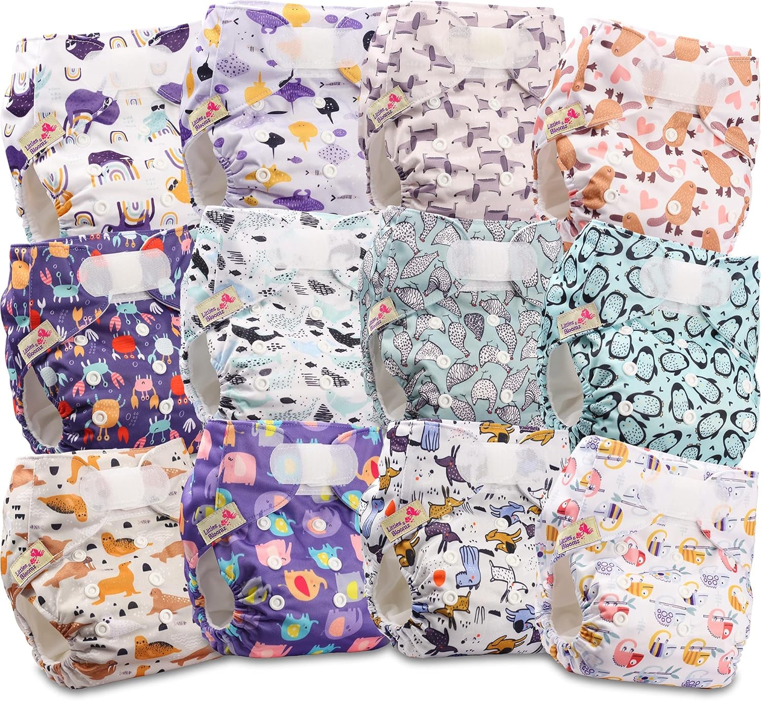 Littles and Bloomz Reusable Diaper FLV2-0602, Standard Hook and Loop Closure, 6 Diapers