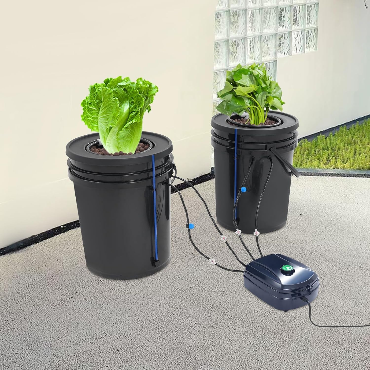 Complete DWC Hydroponic System Kit with 12W Air Pump, 2 Buckets (5 Gallon), Hydroponic Grow System, 2 Bags of Ceramsite, Pot Irrigation Kit
