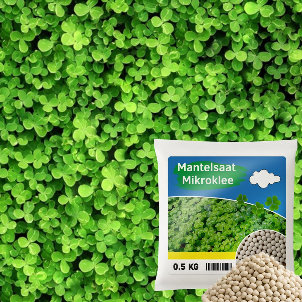 Flower Meadow - Bee Friendly Flower Seed Mix - Wildflowers and Grasses for Dry Locations - Wildflower Seeds - Annual and Perennial Seed Mix