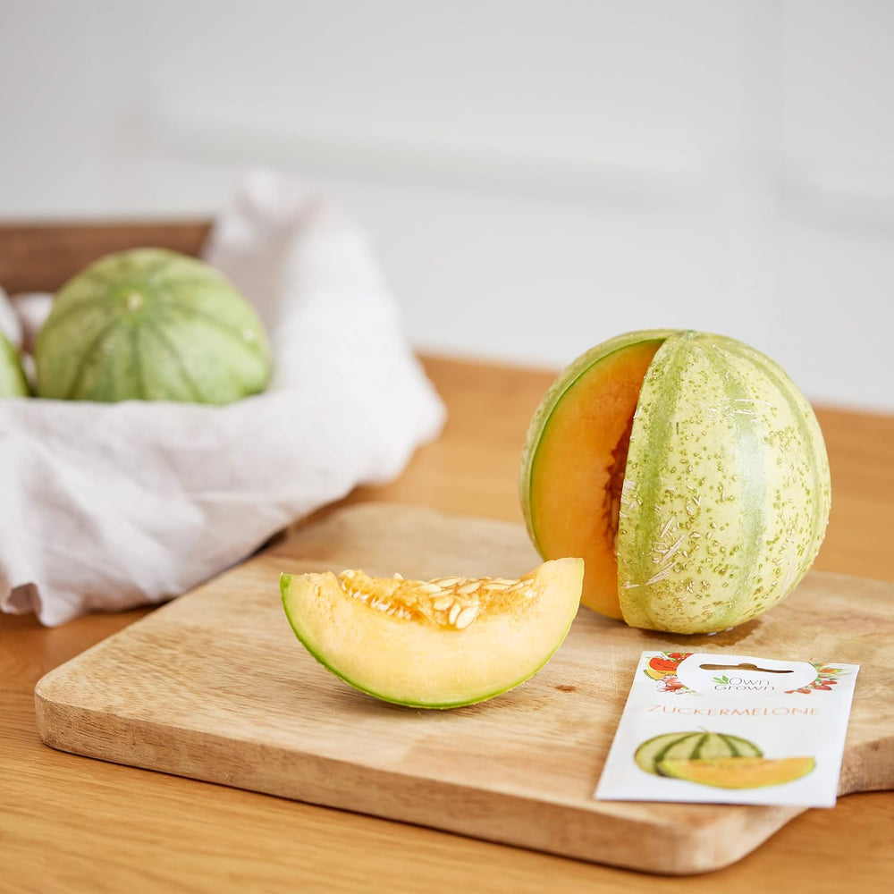 Fruit Seed Set: Premium Garden Seeds with 8 Varieties of Fruit Plants for Garden and Balcony - Watermelon Seeds, Strawberry Seeds, Gooseberries, Rhubarb and More - Fruit Seed Gift Set from OwnGrown