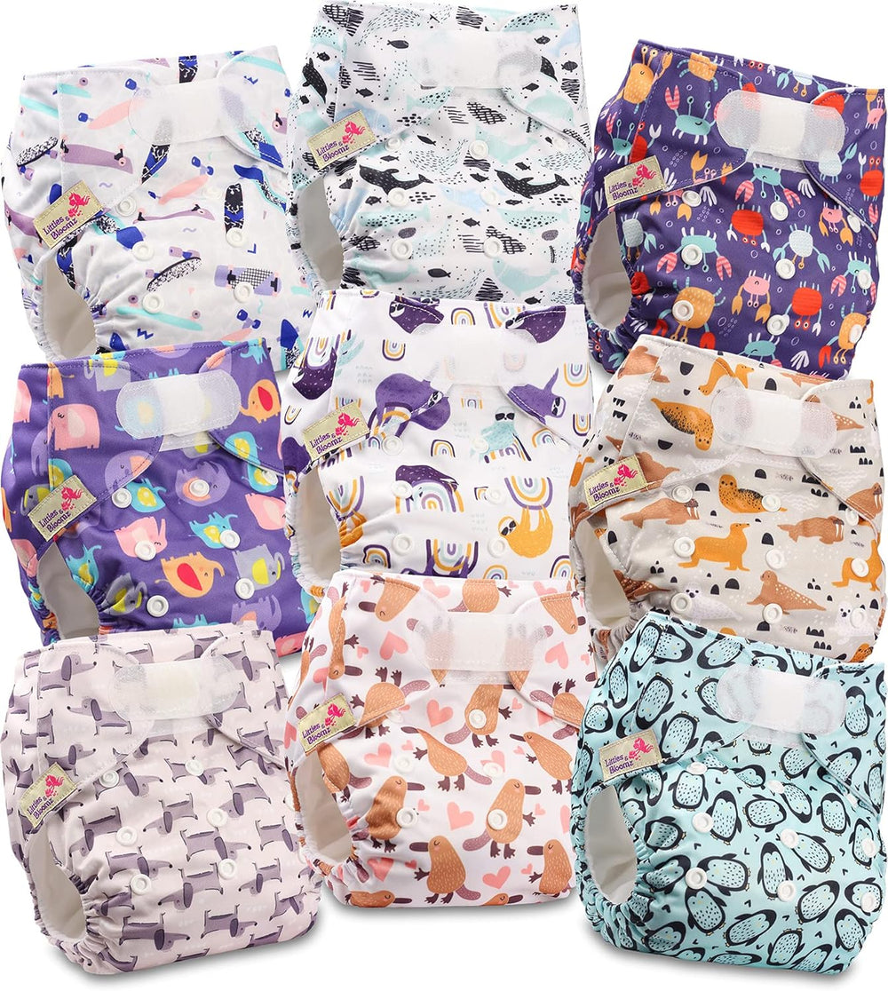 Littles and Bloomz Reusable Diaper FLV2-0602, Standard Hook and Loop Closure, 6 Diapers